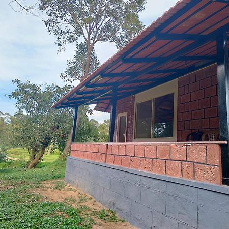 Nature Spot Cottages Coorg Kurchi エクステリア 写真