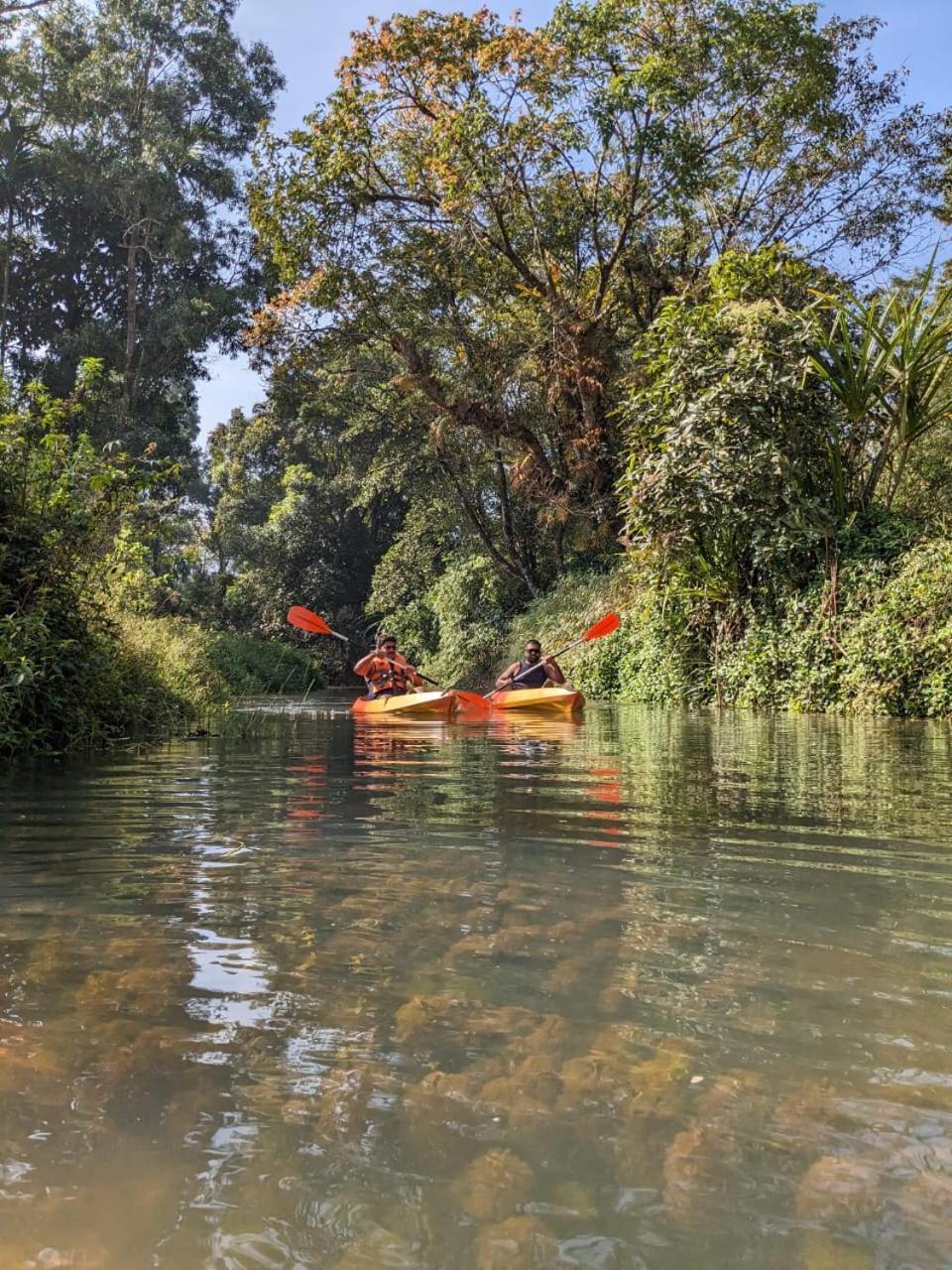 Nature Spot Cottages Coorg Kurchi エクステリア 写真