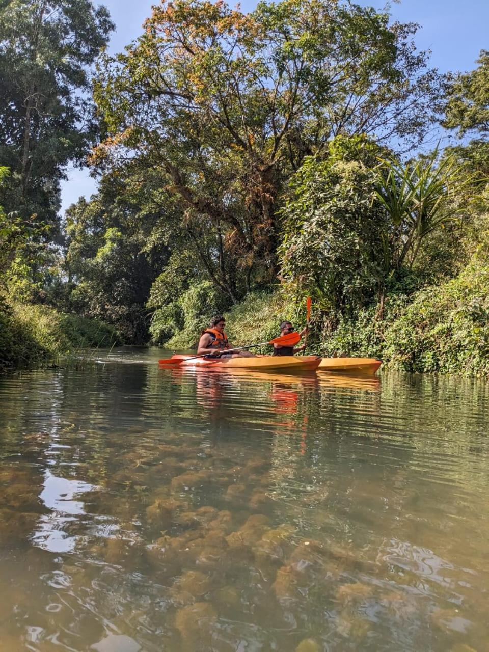 Nature Spot Cottages Coorg Kurchi エクステリア 写真